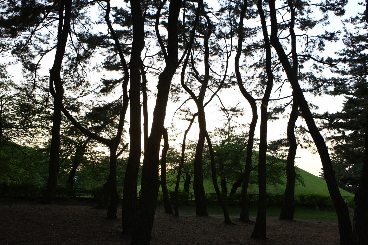 대릉원(천마총)