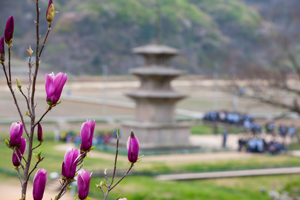 감은사지 삼층석탑