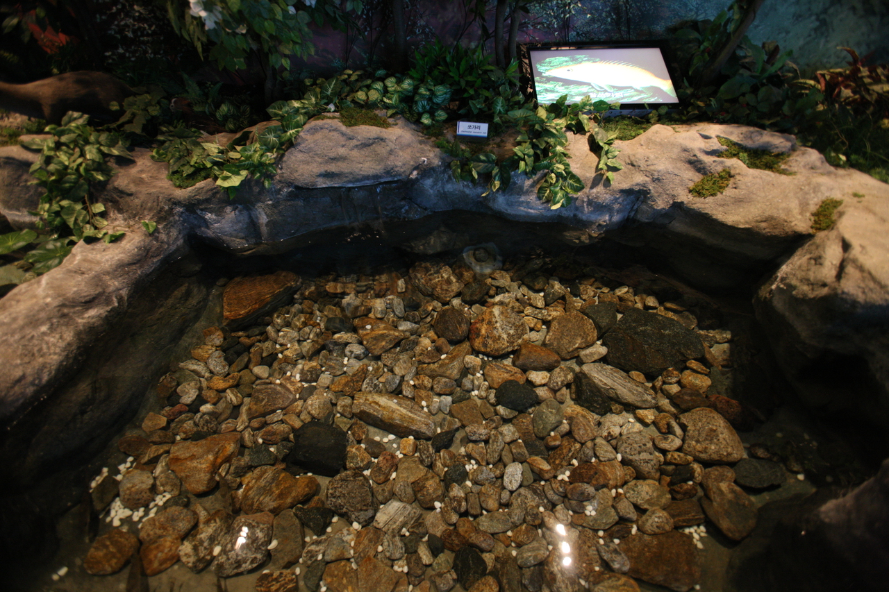 평화의 댐 물문화관