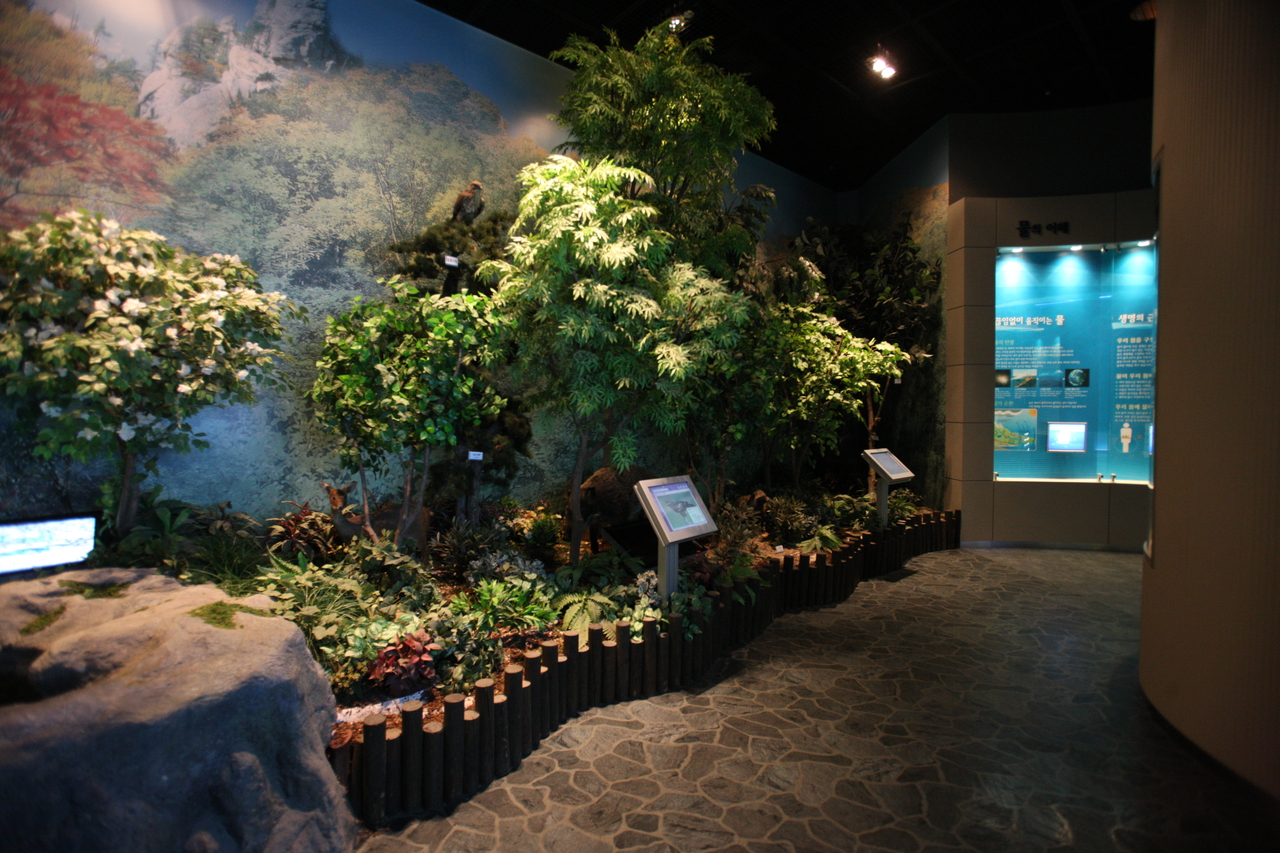 평화의 댐 물문화관