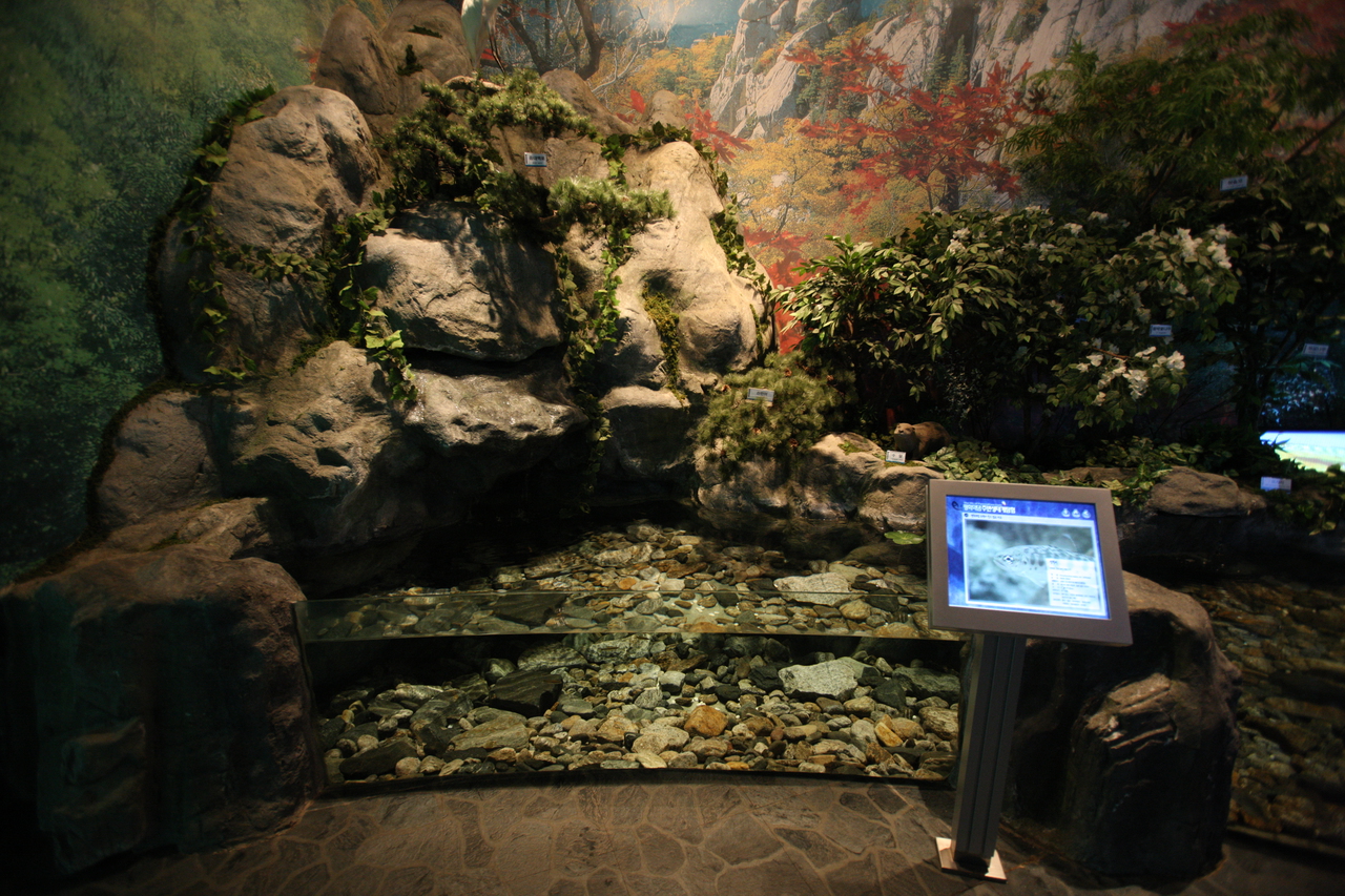 평화의 댐 물문화관