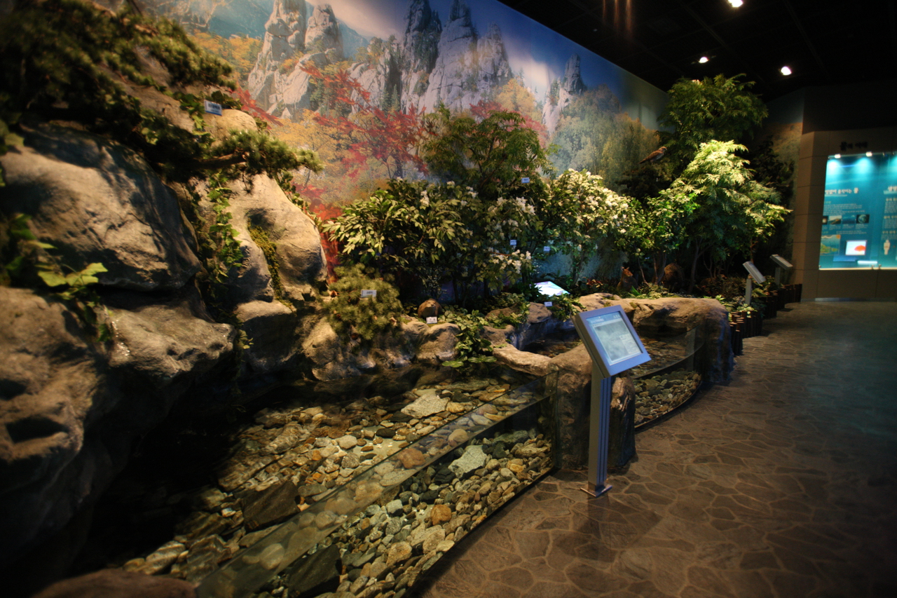 평화의 댐 물문화관