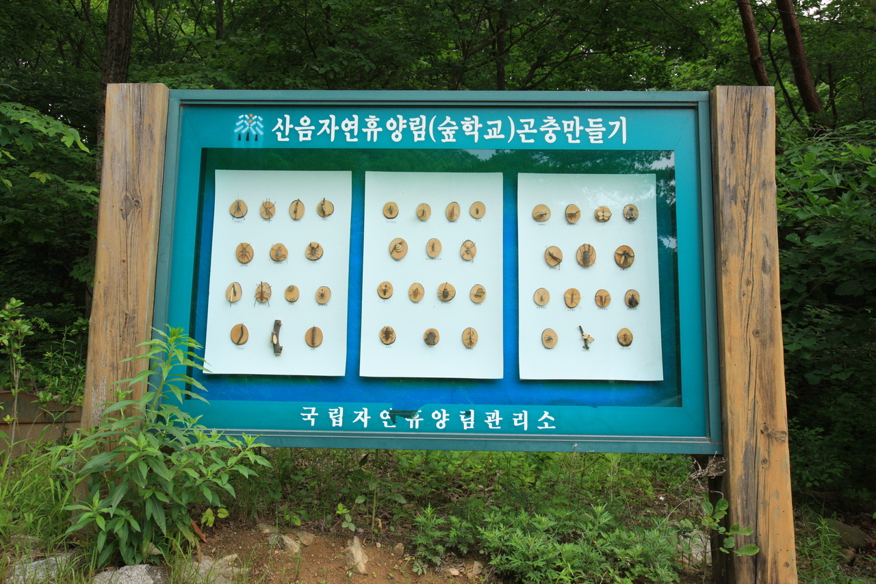 산음자연휴양림