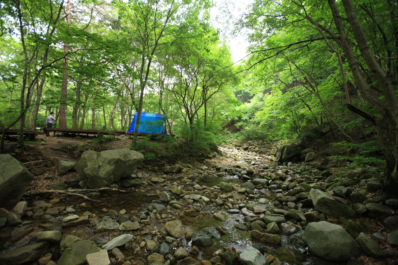 산음자연휴양림