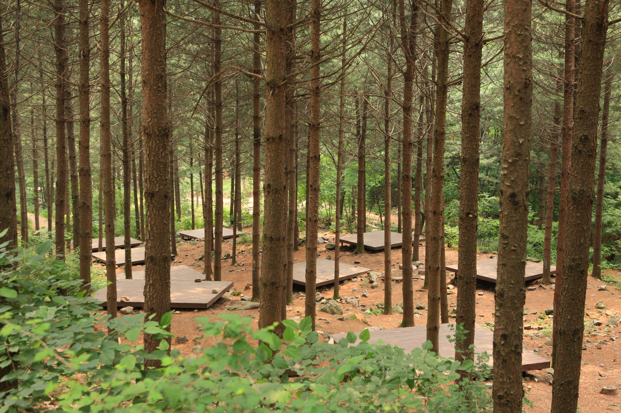 산음자연휴양림