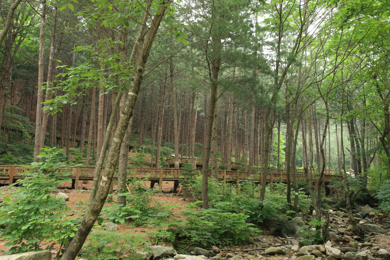 산음자연휴양림