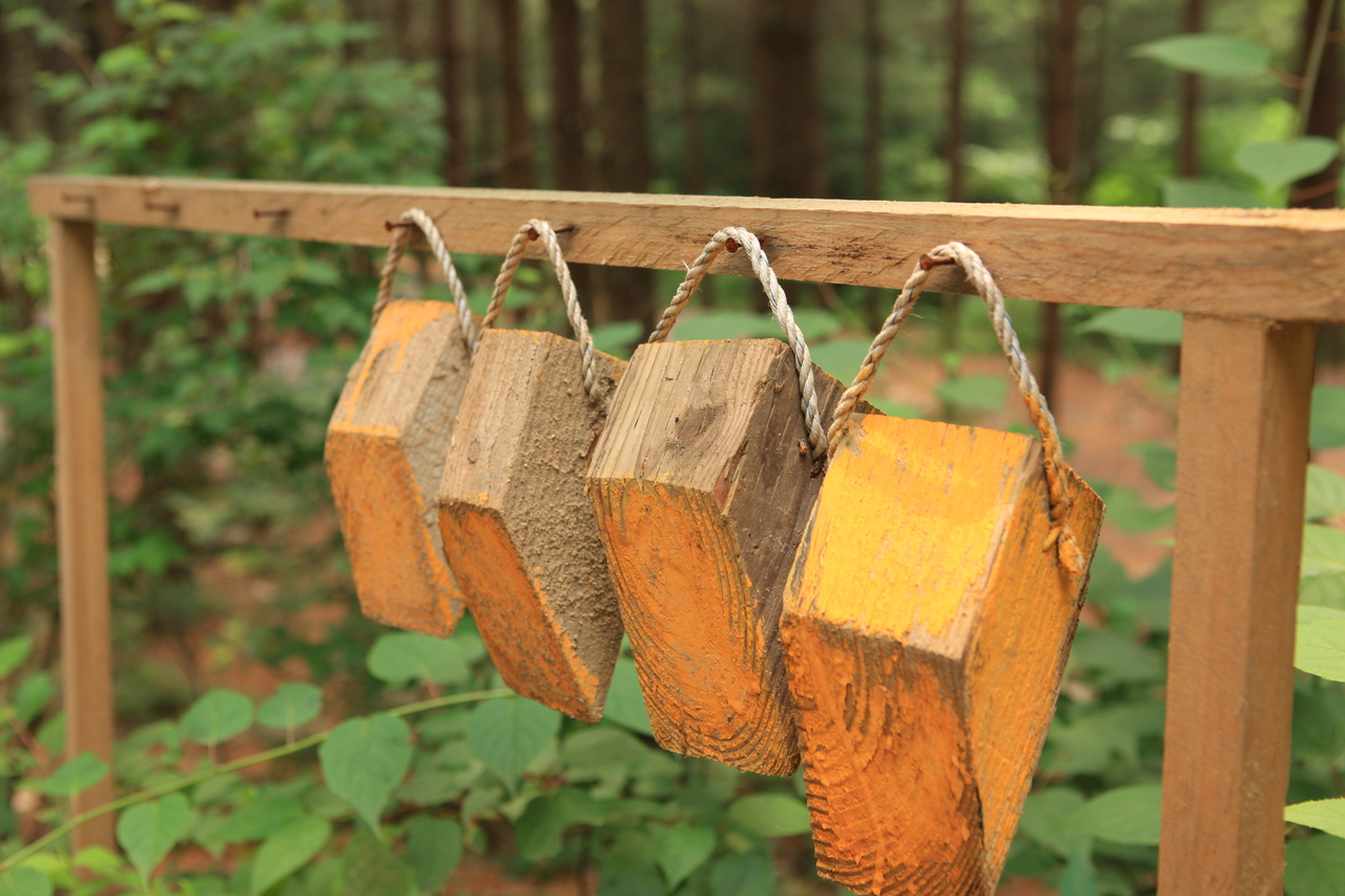 산음자연휴양림