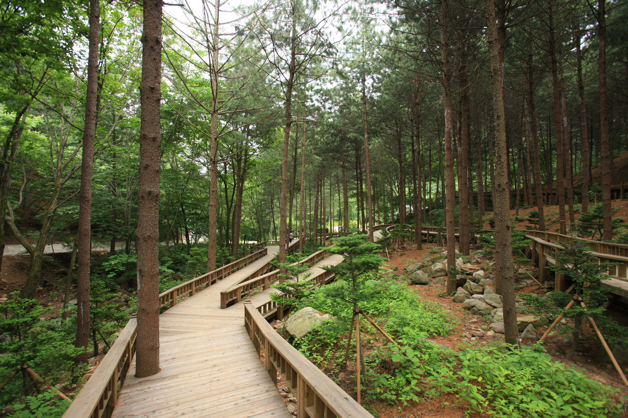 산음자연휴양림