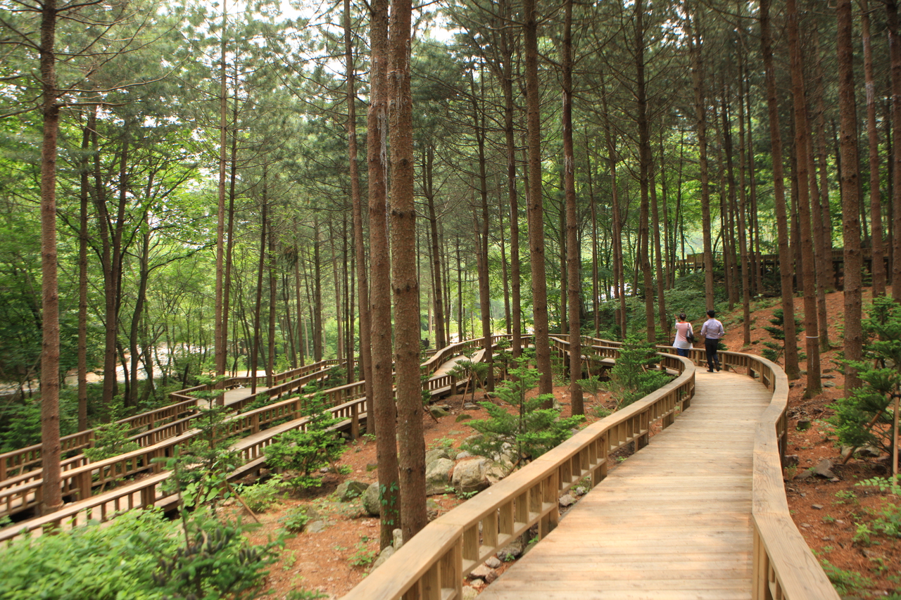 산음자연휴양림