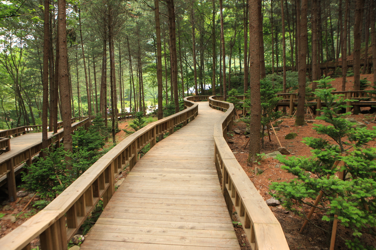산음자연휴양림