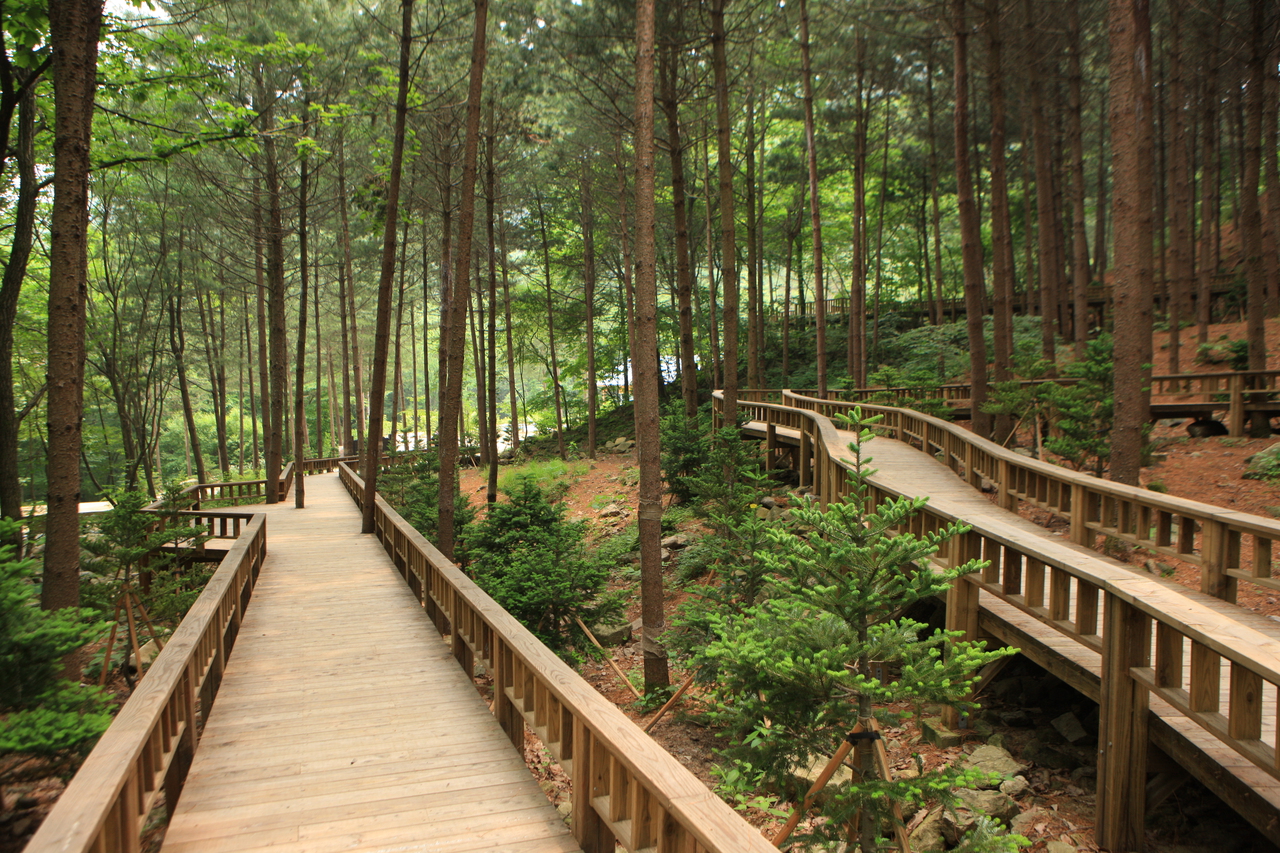 산음자연휴양림