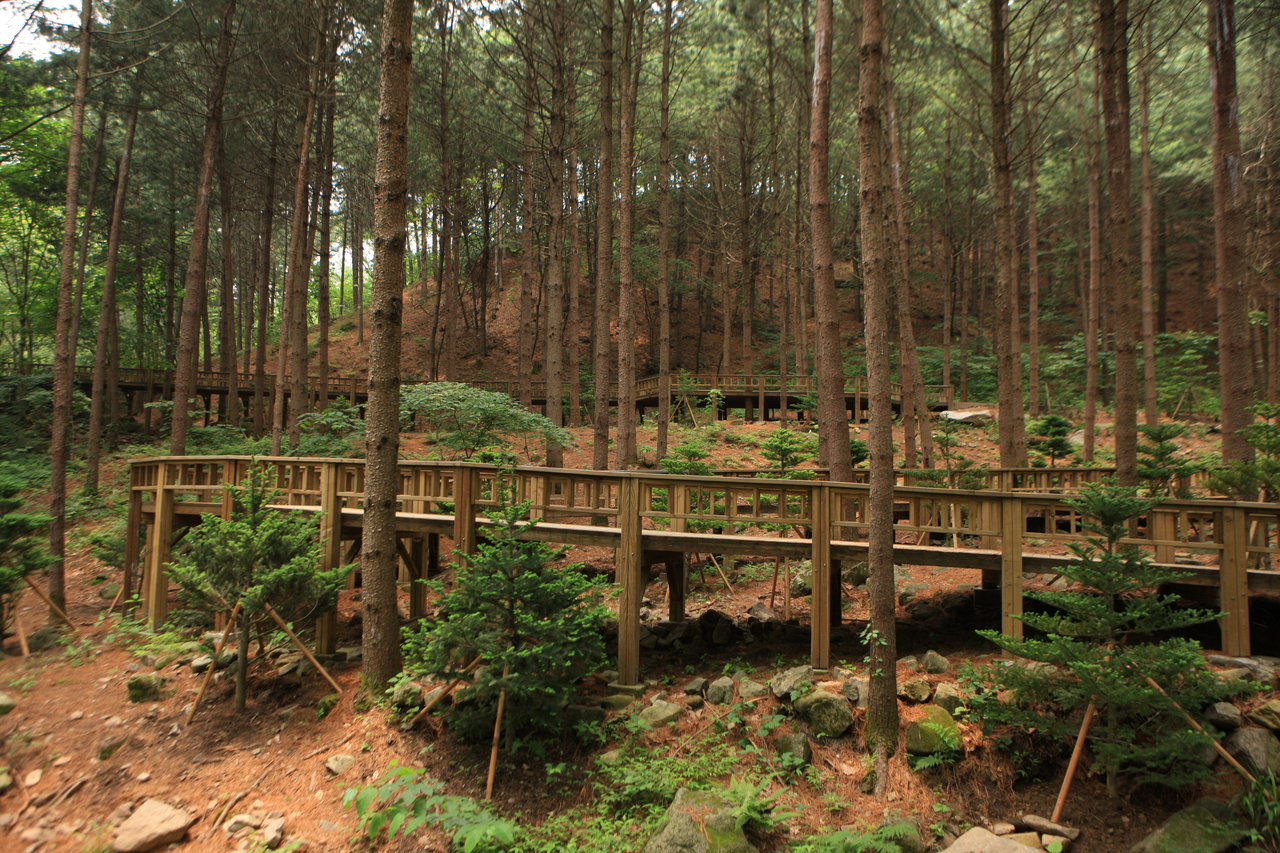 산음자연휴양림