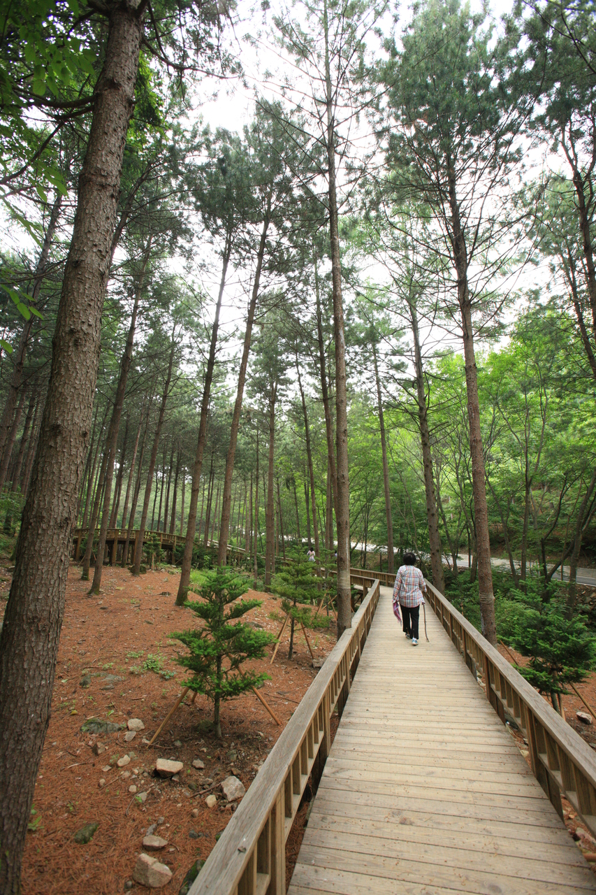 산음자연휴양림