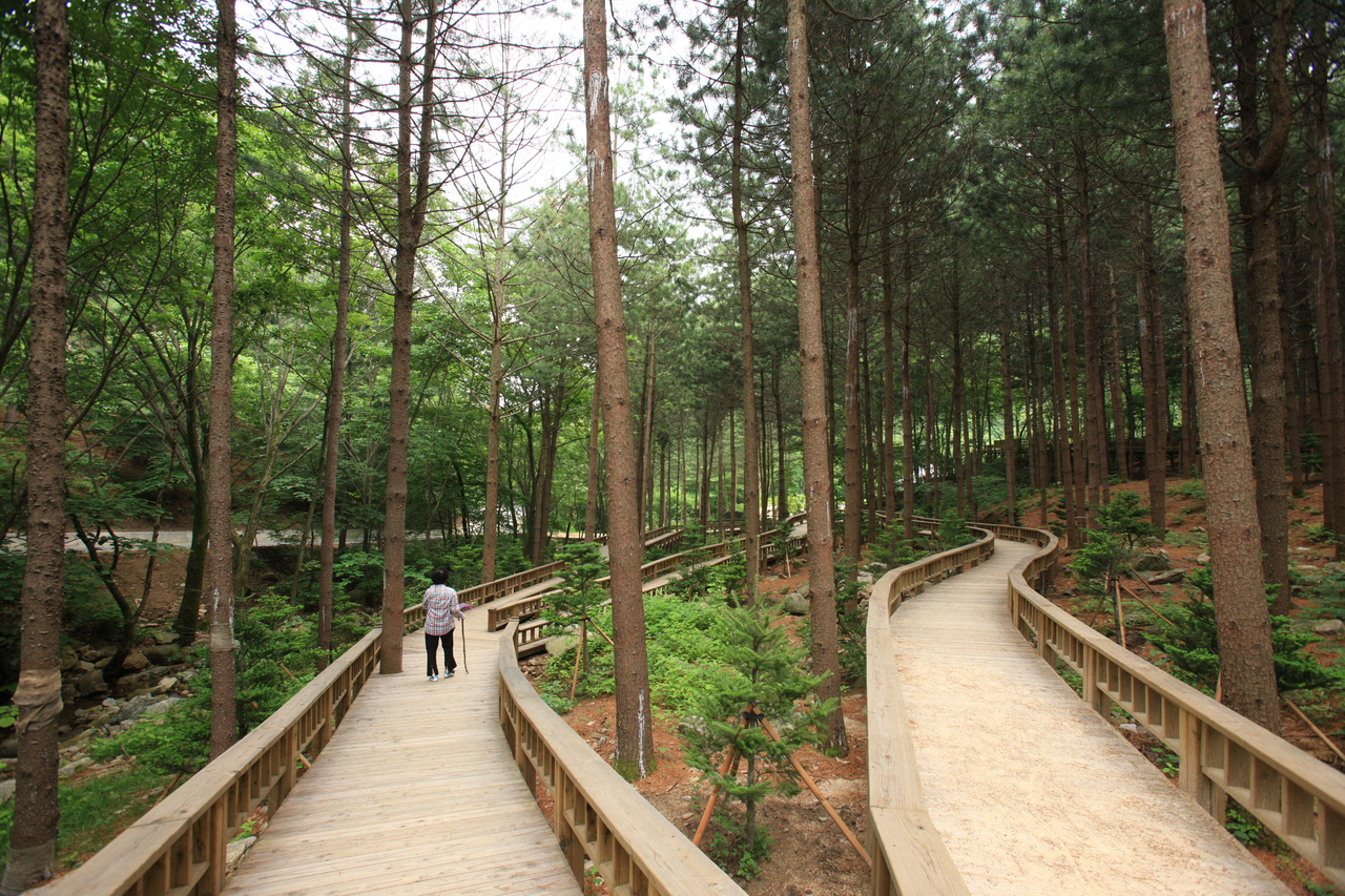 산음자연휴양림