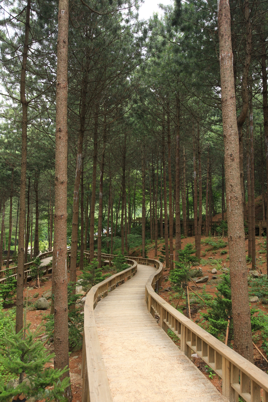 산음자연휴양림