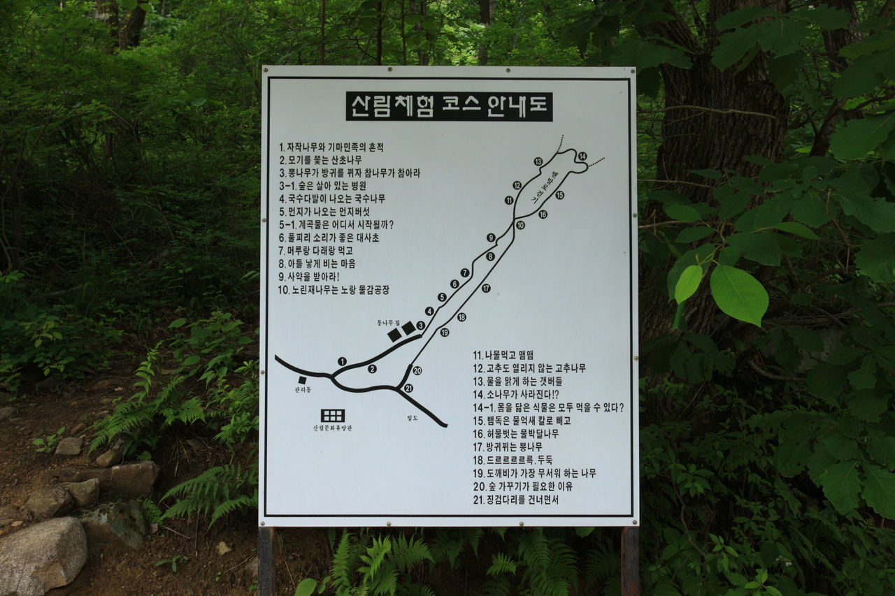 산음자연휴양림