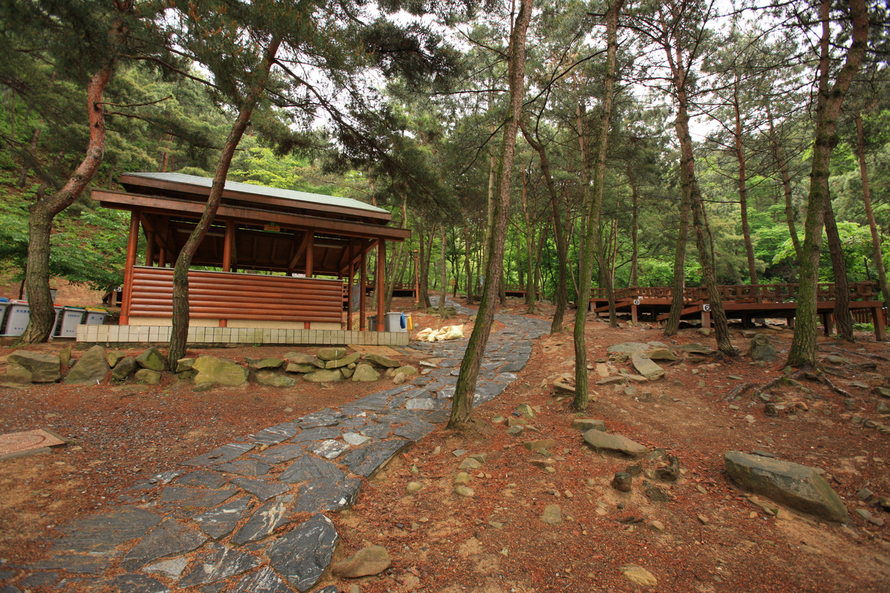 송정자연휴양림