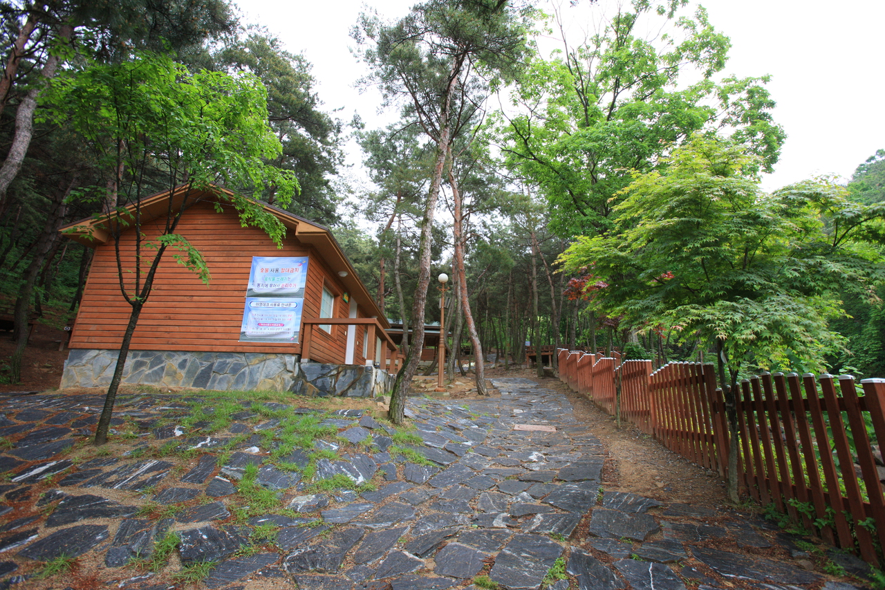 송정자연휴양림