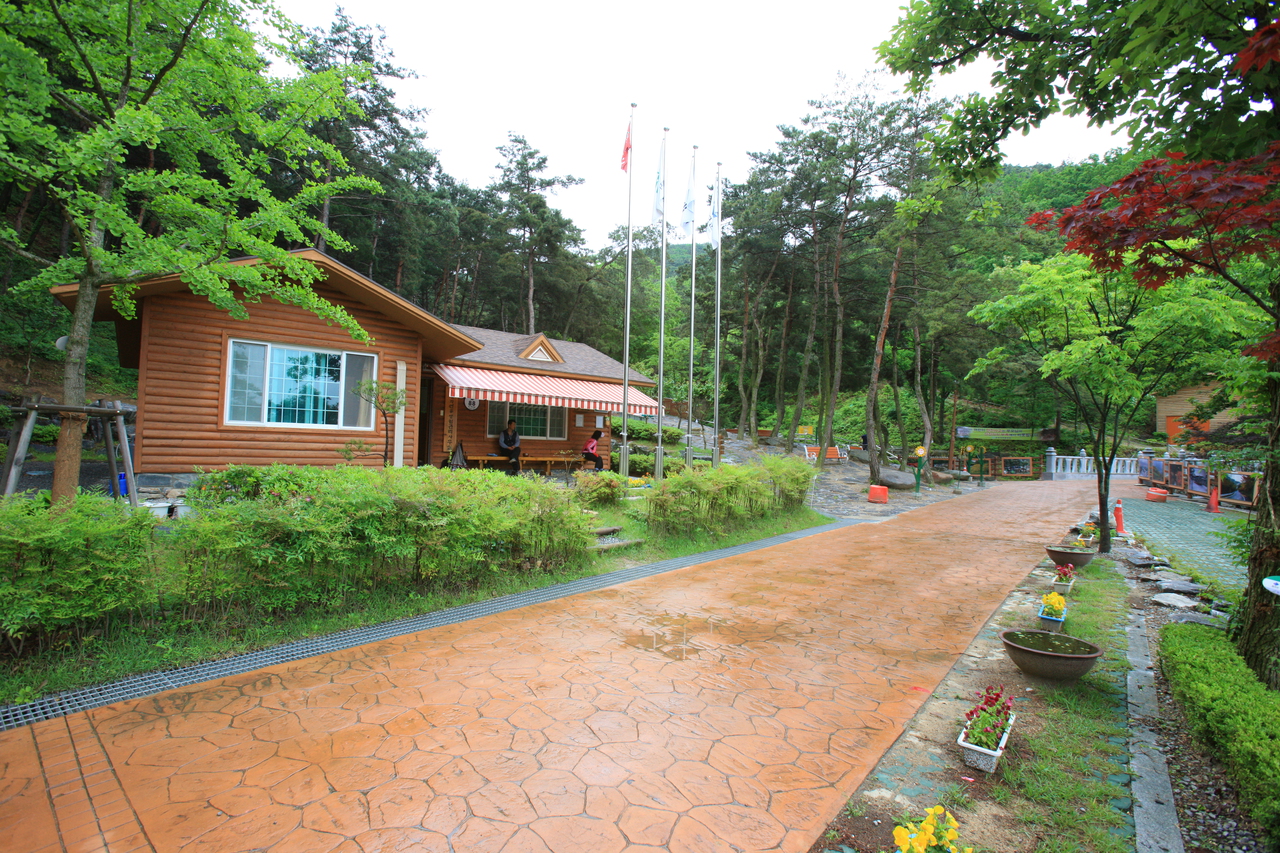 송정자연휴양림