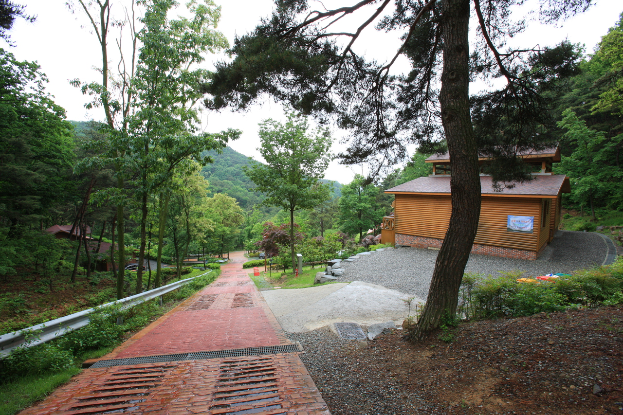 송정자연휴양림