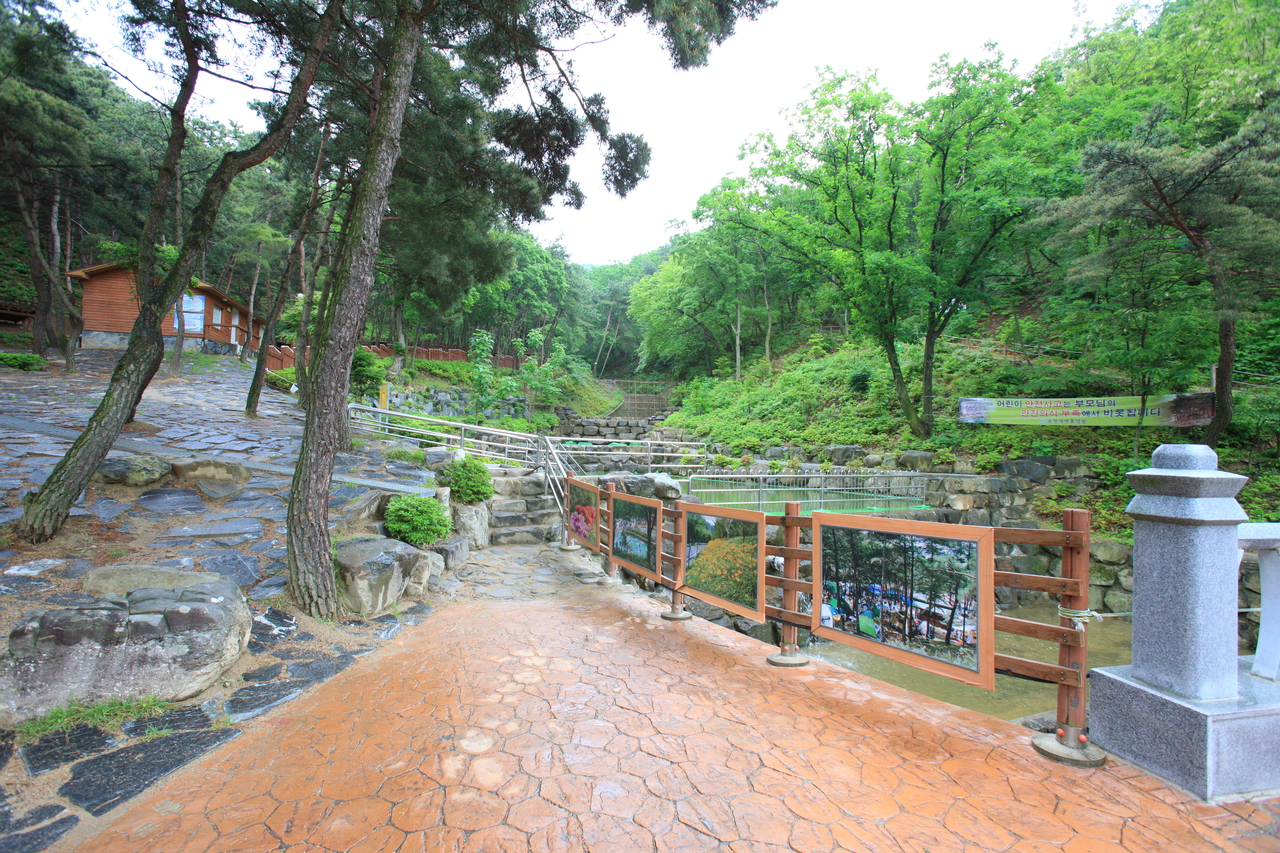 송정자연휴양림